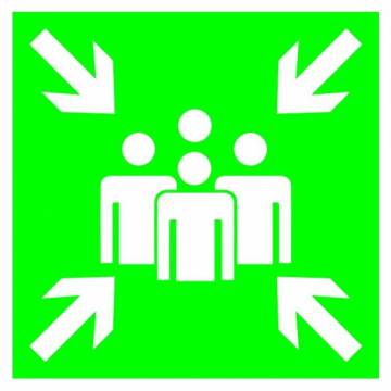 Эвакуационный знак E21 "Пункт (место) сбора" — фото-536_1